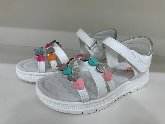 2308P-BLANCO-COLORES